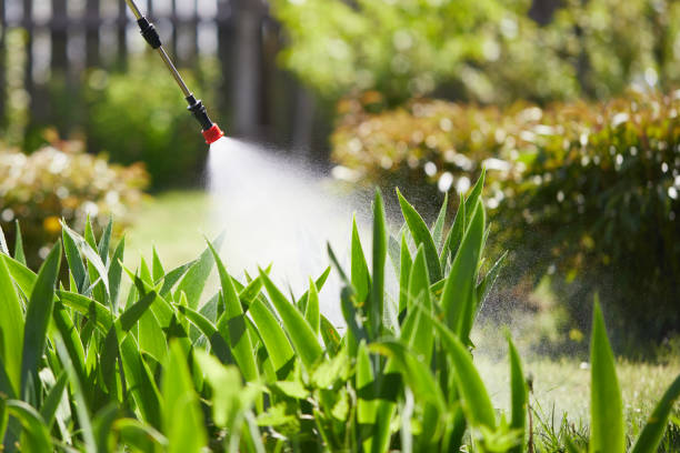 24/7 Emergency Mosquito Control experts in Lincolnton, GA