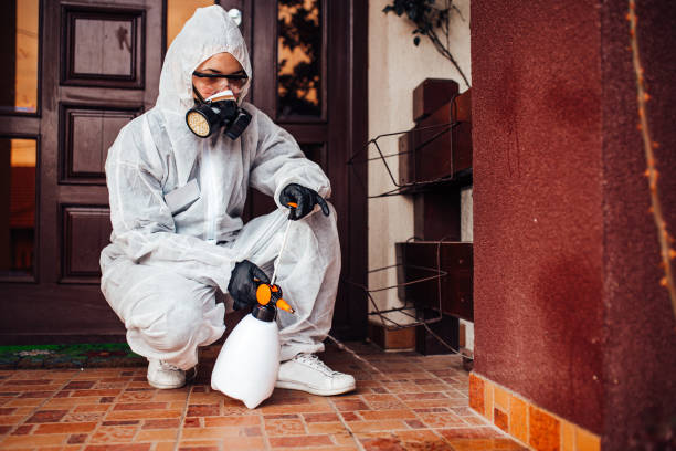 Reliable Mosquito Control contractor in Lincolnton, GA by Show Me Pest Control